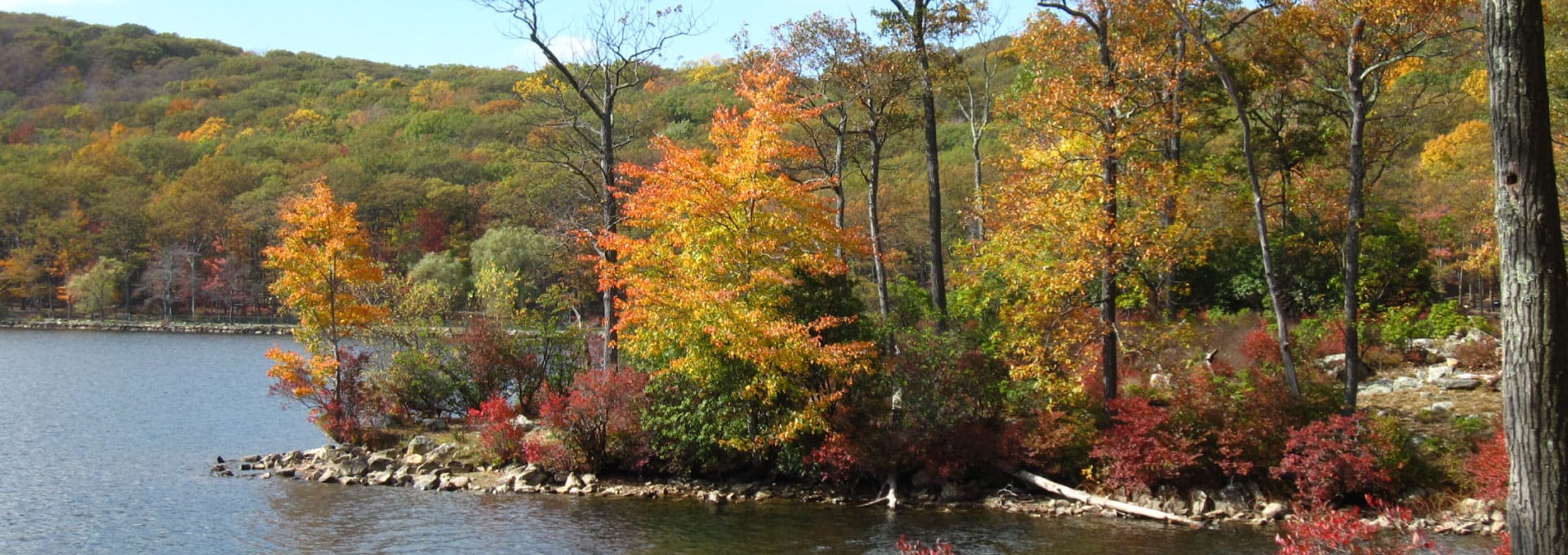 Lake shoreline in fall